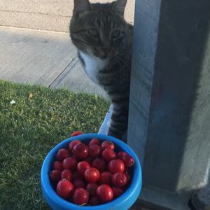 Meet your Posher, Elsa